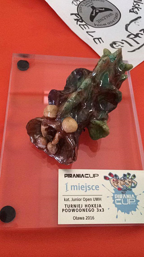 Hokej pod wodą Walenie UWH Siemianowice Śląskie